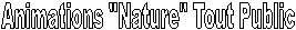 Animations "Nature" Tout Public